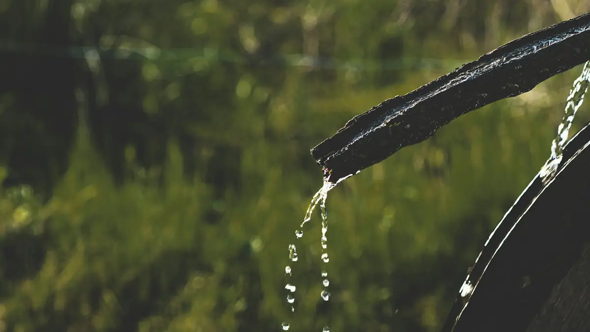 Water dripping from a pipe end over green grass - Basement Leak Detection in Des Plaines