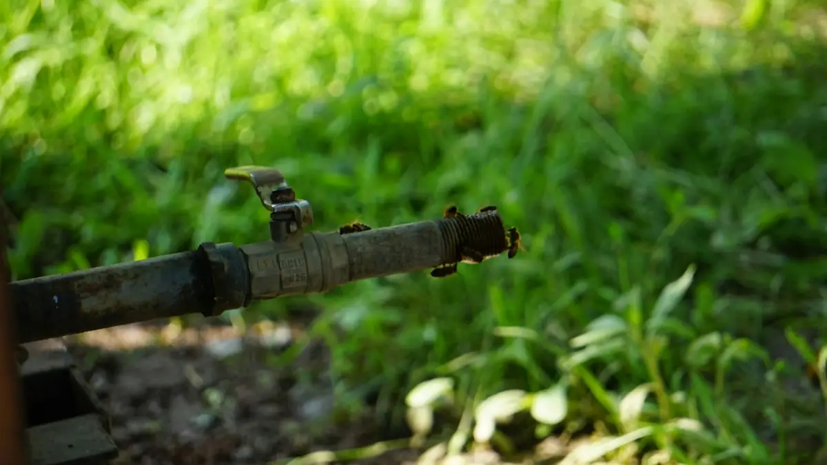 A rusted water pipe with a valve lying in tall grass - Basement Leak Detection in Des Plaines